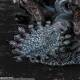 Berserker Guts Berserker Armor Figuarts Zero Touche Metallique, foto n. 2